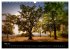 Freiburger Impressionen (Wandkalender... - Bild 11