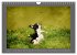 Französische Bulldoggen (Wandkalender... - Bild 13