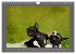 Französische Bulldoggen (Wandkalender... - Bild 14