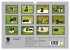 Französische Bulldoggen (Wandkalender... - Bild 6