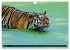 Tiger - die leisen Jäger des... - Bild 13