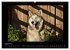 Husky-Kalender (Wandkalender 2026 DIN... - Bild 14