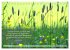 Weises (Tischkalender 2026 DIN A5... - Bild 12