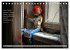 Weises (Tischkalender 2026 DIN A5... - Bild 13