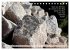 Weises (Tischkalender 2026 DIN A5... - Bild 4