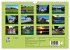 Im Allgäu (Wandkalender 2026 DIN A4... - Bild 6