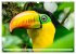 Wildes Leben im Regenwald (Wandkalender... - Bild 14