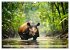 Wildes Leben im Regenwald (Wandkalender... - Bild 15