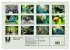 Wildes Leben im Regenwald (Wandkalender... - Bild 6