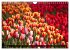 Tulpen (Wandkalender 2026 DIN A4 quer),... - Bild 14