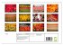 Tulpen (Wandkalender 2026 DIN A4 quer),... - Bild 6