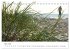 Ostsee-Strand (Tischkalender 2026 DIN... - Bild 9