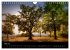 Freiburger Impressionen (Wandkalender... - Bild 11