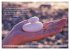Weises (Wandkalender 2026 DIN A2 quer),... - Bild 15