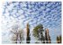 Sonne, Mond und Wolken (Tischkalender... - Bild 4