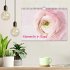 Momente in Rosa (Wandkalender 2026 DIN... - Bild 2
