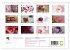 Momente in Rosa (Wandkalender 2026 DIN... - Bild 6