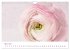 Momente in Rosa (Wandkalender 2026 DIN... - Bild 10