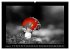 Schwarz-Weiß-Rot (Wandkalender 2026... - Bild 14
