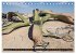 Faszination Namibia (Tischkalender 2026... - Bild 15
