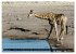 Faszination Namibia (Tischkalender 2026... - Bild 3