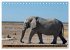 Faszination Namibia (Tischkalender 2026... - Bild 10