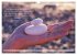 Weises (Wandkalender 2026 DIN A3 quer),... - Bild 15