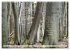 Weises (Wandkalender 2026 DIN A3 quer),... - Bild 3