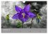 Floral (Wandkalender 2026 DIN A4 quer),... - Bild 15