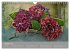 Floral (Wandkalender 2026 DIN A4 quer),... - Bild 3