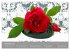 Floral (Wandkalender 2026 DIN A4 quer),... - Bild 5