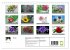 Floral (Wandkalender 2026 DIN A4 quer),... - Bild 6
