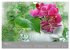 Floral (Wandkalender 2026 DIN A4 quer),... - Bild 9