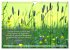 Weises (Wandkalender 2026 DIN A4 quer),... - Bild 12