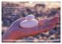 Weises (Wandkalender 2026 DIN A4 quer),... - Bild 15