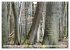 Weises (Wandkalender 2026 DIN A4 quer),... - Bild 3