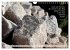 Weises (Wandkalender 2026 DIN A4 quer),... - Bild 4