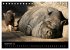 Schweinereien (Tischkalender 2026 DIN... - Bild 15