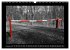 Schwarz-Weiß-Rot (Wandkalender 2026... - Bild 4
