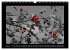 Schwarz-Weiß-Rot (Wandkalender 2026... - Bild 10