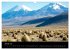 Bolivien (Wandkalender 2026 DIN A3... - Bild 7