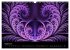 Die Farbe Lila (Wandkalender 2026 DIN... - Bild 14