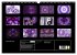 Die Farbe Lila (Wandkalender 2026 DIN... - Bild 6