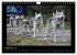 Husky-Kalender (Wandkalender 2026 DIN... - Bild 15