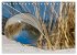 Natur und Glas (Tischkalender 2026 DIN... - Bild 14