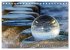 Natur und Glas (Tischkalender 2026 DIN... - Bild 4