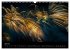 Das Feuerwerk (Wandkalender 2026 DIN A3... - Bild 13
