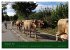 Im Allgäu (Wandkalender 2026 DIN A3... - Bild 5