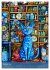 Katzenleben in Farbe - Witzige Szenen... - Bild 8