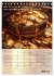 Der Geld-Anlock-Kalender (Tischkalender... - Bild 13